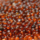 Child Chakra Gemstones and Polished Cognac Baltic Amber Anklet Bracelet Love Amber X