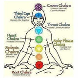 Child Chakra Gemstones and Polished Cognac Baltic Amber Anklet Bracelet Love Amber X