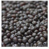 Child Cherryaid Raw Dark Cherry Baltic Amber Anklet Bracelet Love Amber X