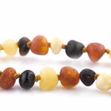 Child Shingle Raw Mixed Baltic Amber Anklet Love Amber X