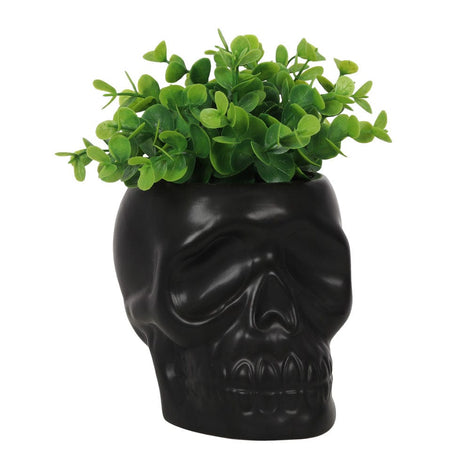 Black Skull Plant Hair Pot Something D