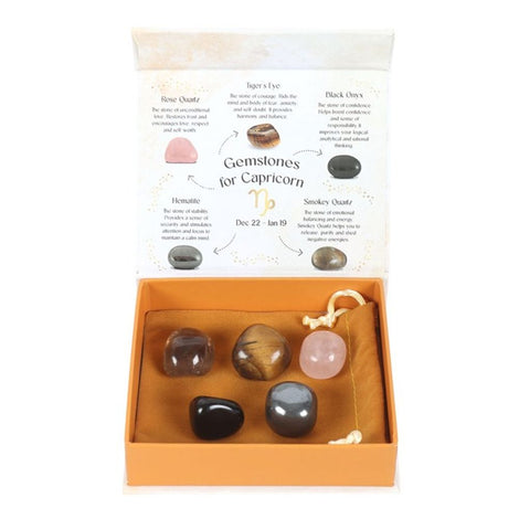 Capricorn 5 Piece Crystal Tumblestone Gift Set
