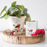 Winter Red Robin Ceramic Plant Pot