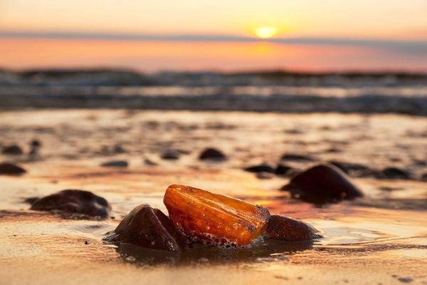 What is Baltic amber? 2023