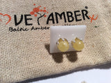 Round Butterscotch Baltic Amber Bead Silver Stud Earrings