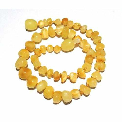 Adult Ambrosia Polished Butterscotch Baltic Amber Anklet Love Amber X