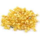 Adult Ambrosia Polished Butterscotch Baltic Amber Necklace Love Amber X