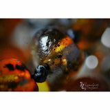 Adult Earthy Polished Rare Green Baltic Amber Bracelet Love Amber X