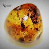 Adult Earthy Rare Green Baltic Amber Stretch Bracelet Love Amber X