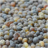 Adult Enchanted Raw Green Baltic Amber Necklace Love Amber X