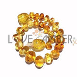 Adult Honeypot Polished Honey Baltic Amber Bracelet Love Amber X