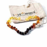 Adult Rainbow Bright Mixed Baltic Amber Anklet Love Amber X