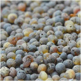 Adult Sage Raw Rare Green Baltic Amber Anklet Love Amber X