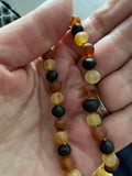 Adult Shingle Raw Unpolished Mixed Baltic Amber Necklace Love Amber X