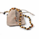 Adult Shingle Raw Unpolished Mixed Baltic Amber Necklace Love Amber X