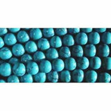 Child Azure Blue Turquoise Howlite Cognac Baltic Amber Anklet Bracelet Love Amber X