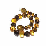 Child Bramley Polished Green and Honey Baltic Amber Anklet Bracelet Love Amber X