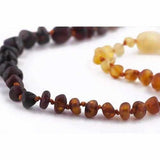 Child Ombre Raw Rainbow Baltic Amber Necklace Love Amber X