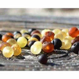 Child Shingle Raw Mixed Baltic Amber Anklet Love Amber X