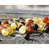 Child Shingle Raw Mixed Baltic Amber Necklace Love Amber X