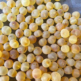 Premium Loose Baltic Amber Beads Large Raw Unpolished Adult 7 - 8mm Love Amber X Ltd Baltic Amber Jewellery and Silicone Teething Necklaces